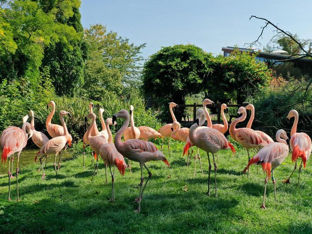 Bergzoo Halle