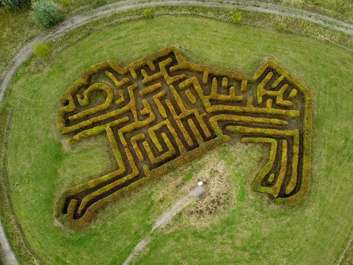 Luftbild eines großen, aus Hecken oder Pflanzen geschnittenen Labyrinths in ovaler Form auf einer grünen Wiese, das einen klaren Weg durch die Mitte bietet.