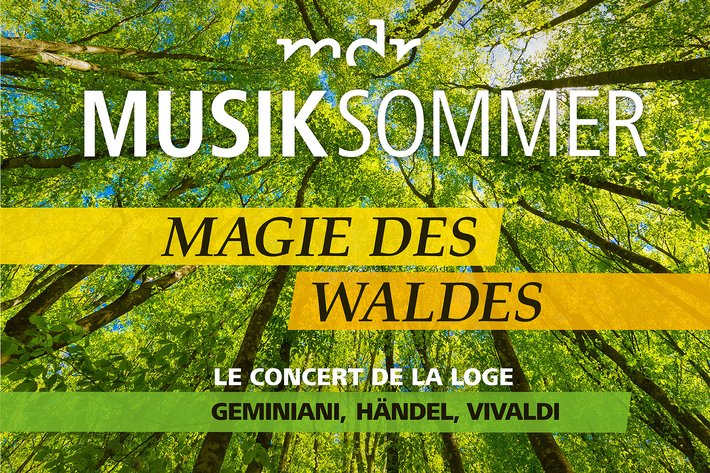 Plakat für Musiksommer mit dem Titel „Magie des Waldes“ – ein Konzert im Wald mit Werken von Geminiani, Händel und Vivaldi.