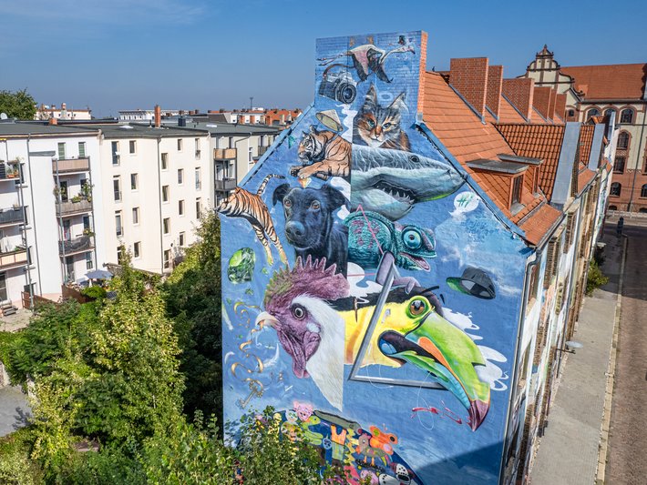 Freiraumgalerie