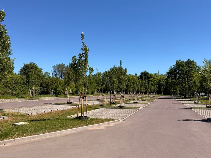 Ein großer, ruhiger Park mit breitem, gepflastertem Weg in der Mitte, der sich geradeaus erstreckt. Links und rechts stehen junge Bäumchen in Reihen, umgeben von grünem Rasen und wenigen Blumenbeeten. Im Hintergrund sind weitere Bäume und ein klarer, blauer Himmel sichtbar.