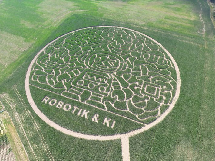 Luftbild eines großen, kreisförmigen Feldzeichens aus Gras, das ein Gehirn mit verschlungenen Linien darstellt, mit der Beschriftung Robotik und KI darunter.